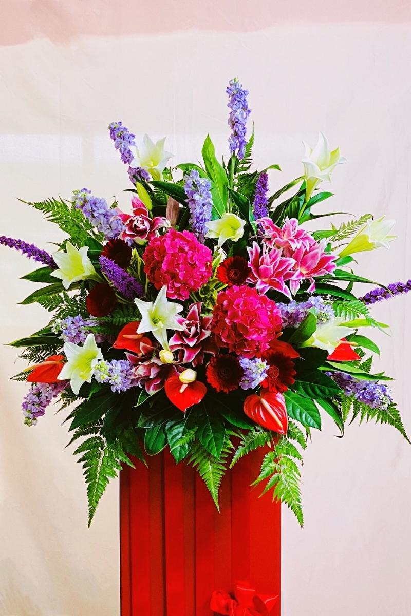 HBO-021C-1 Sensational - Image 1