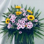 Cherished Sentiments