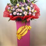 Prosperous Beginnings