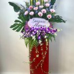 Success Splendor Showcase