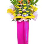 New Horizons Grand Opening Stand