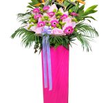 Bold Blooms for New Ventures