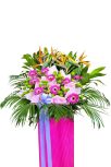 Bold Blooms for New Ventures - Image 2