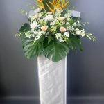 Timeless Tranquility