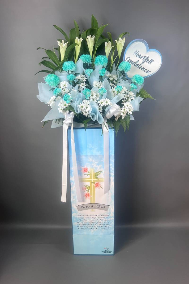 xr:d:DAEYbi_rWWE:858,j:3308304819909427149,t:23120104 Heavenly Grace - Image 1