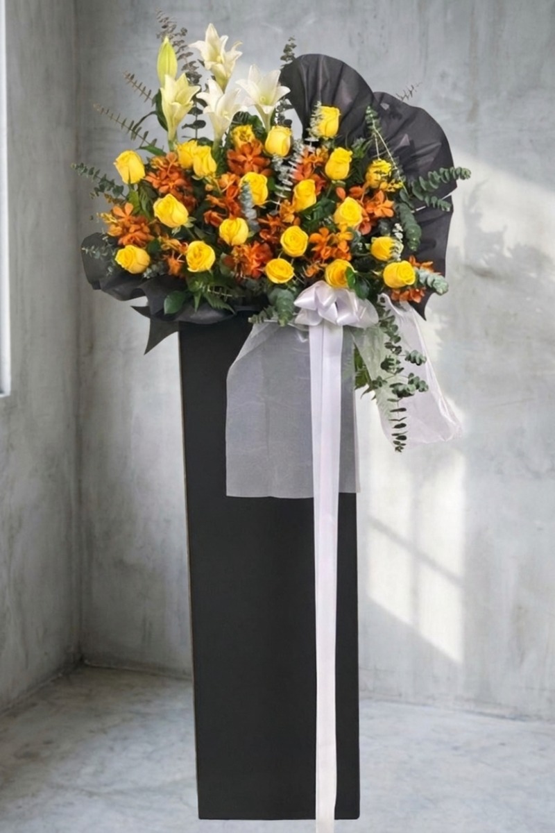 hibye-14706-boxstand-final Empathy - Image 1